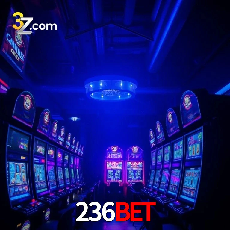 236bet App Security